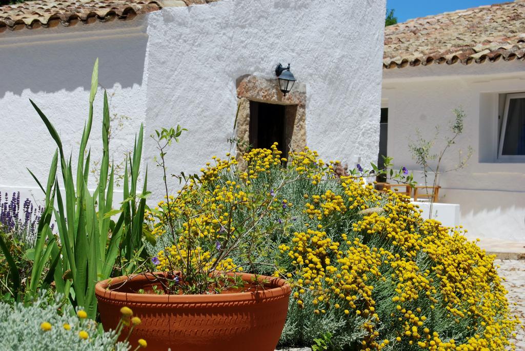 Farmhouse Of The Palms São Brás de Alportel Kültér fotó